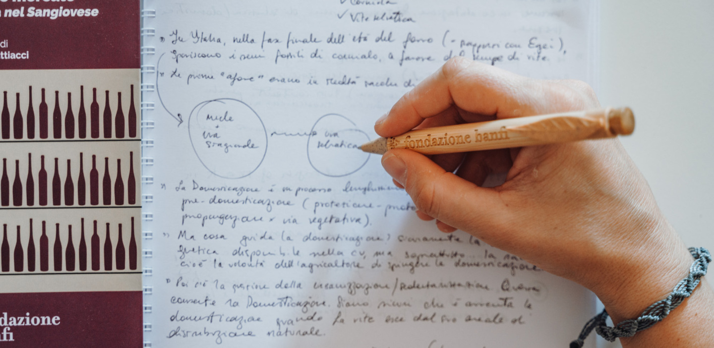 Materiale Didattico