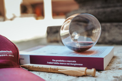 Sanguis Jovis Journals