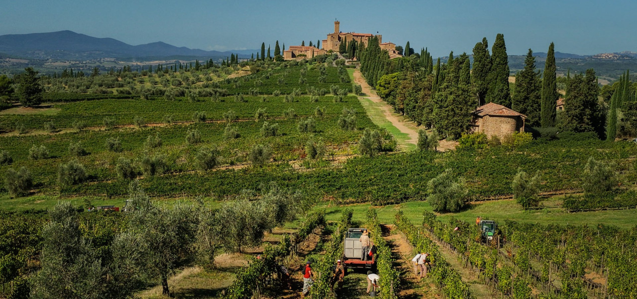 VIII Edizione Premio di Laurea in viticoltura ed enologia "Rudy Buratti"